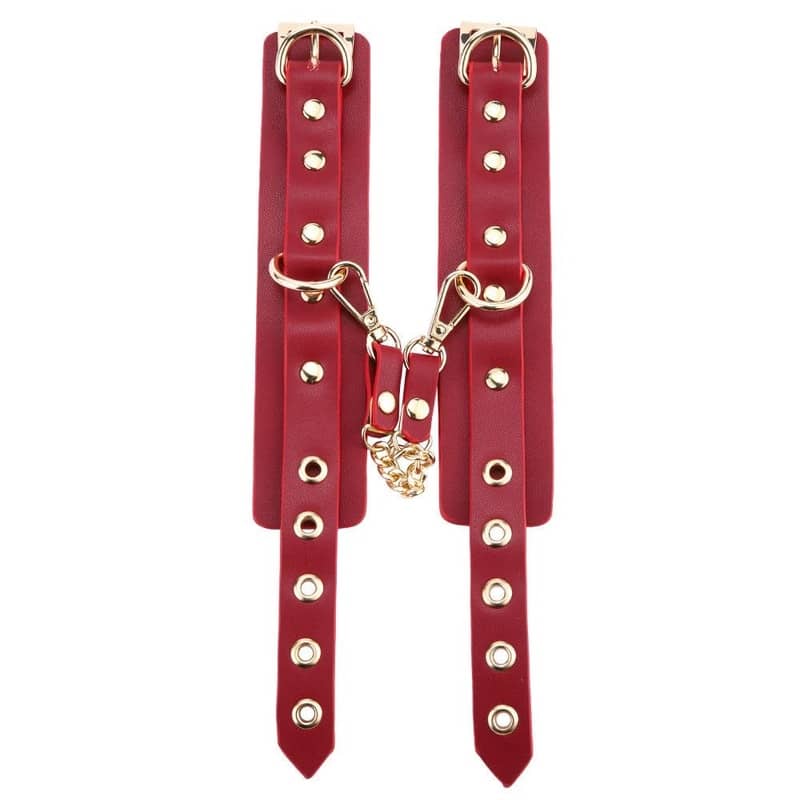 Kit Bondage Luxueux