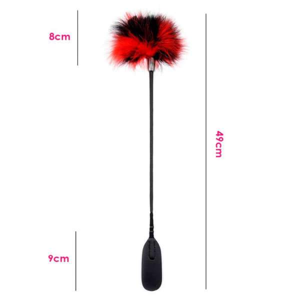 cravache a plume
