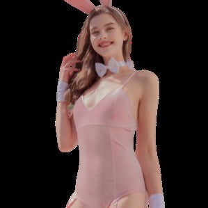 déguisement lapine sexy