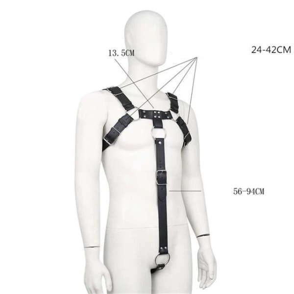 Harnais Homme  Torse