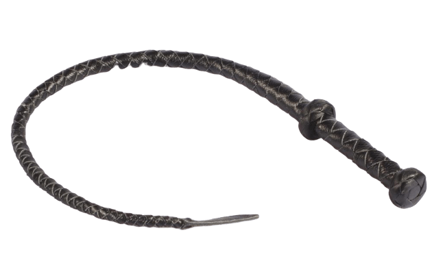 Fouet Bdsm  Cuir