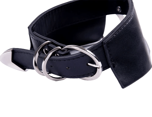 Collier Bdsm Cuir