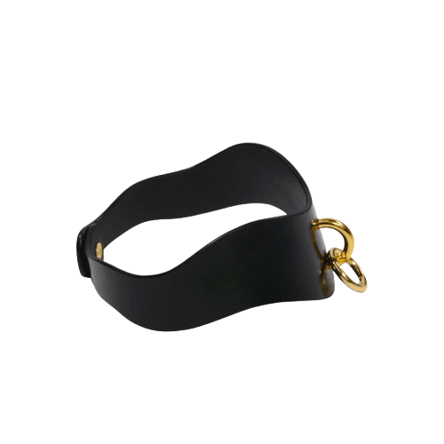 Collier laisse cuir
