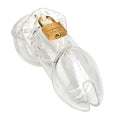 cage-de-chastete-transparente
