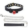 Collier Laisse Petplay