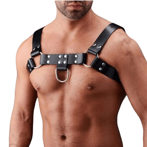 Harnais Bdsm Homme | BDSM Empire