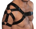 Harnais Gay | BDSM Empire