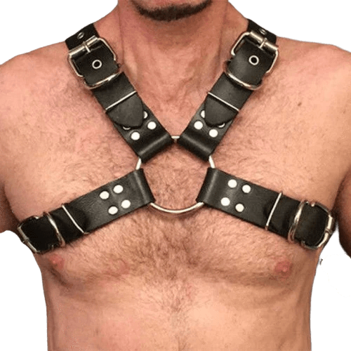 Harnais Homme Pas Cher | BDSM Empire