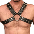 Harnais Homme Pas Cher | BDSM Empire