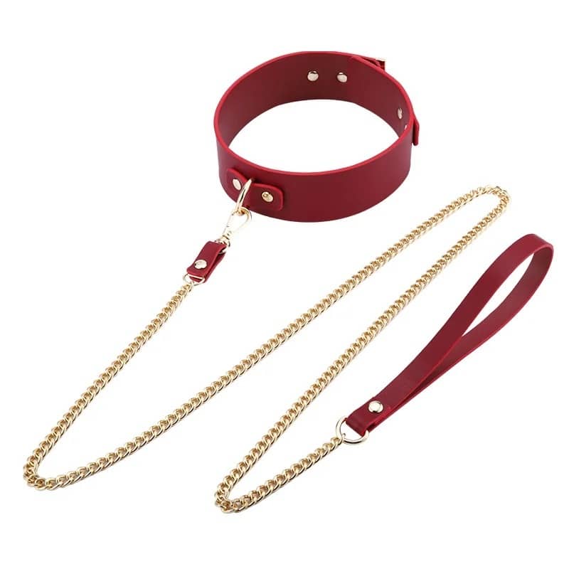 Kit Bondage Luxueux