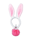 Plug Anal Lapin | BDSM Empire