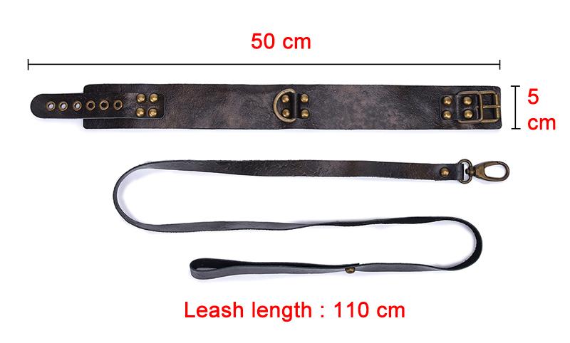 Collier Laisse Fetish