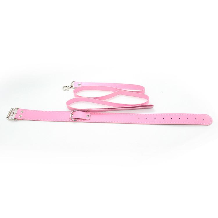 laisse bdsm