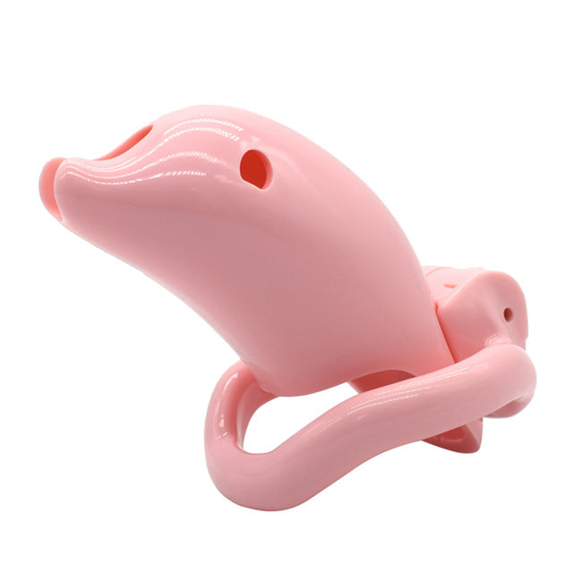 Cage de Chasteté Dauphin