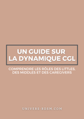 Un guide sur la dynamique CGL